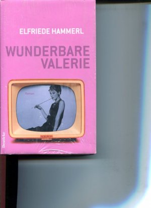 gebrauchtes Buch – Elfriede Hammerl – Wunderbare Valerie