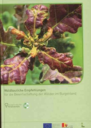 Waldbauliche Empfehlungen für die Bewirtschaftung der Wälder im Burgenland.