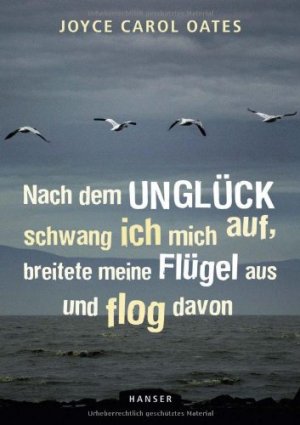 Nach dem Unglück schwang ich mich auf, breitete meine Flügel aus und flog davon. Aus dem Engl. von Birgitt Kollmann.