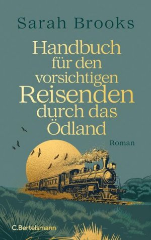 gebrauchtes Buch – Brooks, Sarah und Claudia Feldmann – Handbuch für den vorsichtigen Reisenden durch das Ödland Roman