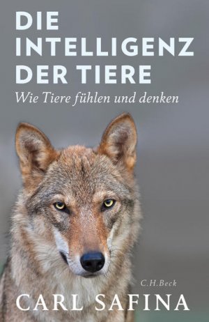 gebrauchtes Buch – Carl Safina – Die Intelligenz der Tiere Wie Tiere fühlen und denken