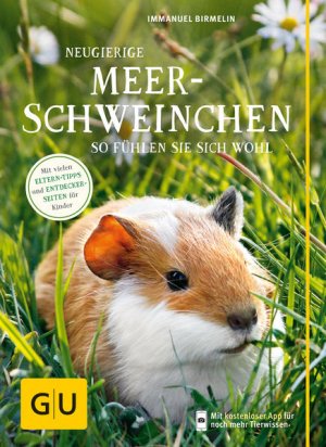 gebrauchtes Buch – Birmelin, Immanuel (Mitwirkender) und Regina Kuhn – Neugierige Meerschweinchen : so fühlen sie sich wohl ; [mit vielen Eltern-Tipps und Entdecker-Seiten für Kinder]. Immanuel Birmelin. [Fotogr. Regina Kuhn]