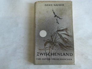 Zwischenland. Erzählungen