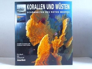 gebrauchtes Buch – Mesturini, Giorgio / Mesturini – Korallen und Wüsten. Schönheiten des Roten Meeres