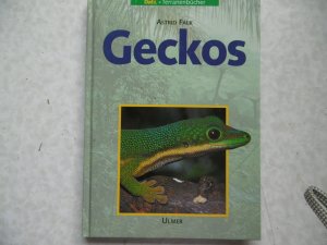 gebrauchtes Buch – Astrid Falk – Geckos