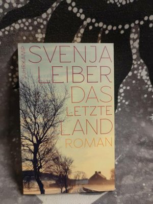 gebrauchtes Buch – Svenja Leiber – Das letzte Land : Roman. Suhrkamp Taschenbuch ; 4576