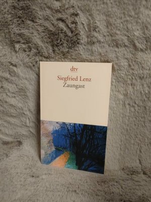 gebrauchtes Buch – Siegfried Lenz – Zaungast. dtv ; 13436