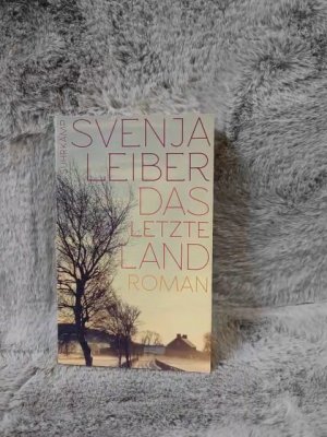 gebrauchtes Buch – Svenja Leiber – Das letzte Land : Roman. Suhrkamp Taschenbuch ; 4576