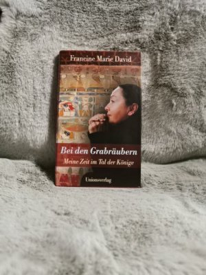 gebrauchtes Buch – David, Francine Marie – Bei den Grabräubern : meine Zeit im Tal der Könige.