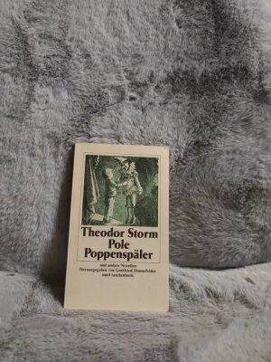 gebrauchtes Buch – Storm, Theodor: Gesammelte WerkeTeil: Bd. 3., Pole Poppenspäler und andere Novellen : In St. Jürgen, Viola Tricolor, Pole Poppenspäler, Waldwinkel. Insel-Taschenbuch ; 733