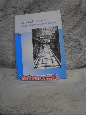 gebrauchtes Buch – Roland Ott – Mathematik im Berufskolleg : Prüfungsaufgaben zur Fachhochschulreife. Ott / Wirtschaftswissenschaftliche Bücherei für Schule und Praxis