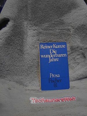 gebrauchtes Buch – Reiner Kunze – Die wunderbaren Jahre : Prosa. Fischer-Taschenbücher ; 2074