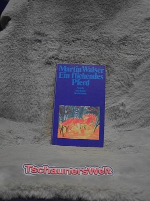 gebrauchtes Buch – Martin Walser – Ein fliehendes Pferd : Novelle. Suhrkamp Taschenbuch ; 600