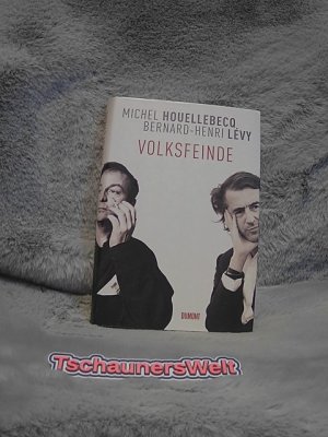 gebrauchtes Buch – Houellebecq, Michel – Volksfeinde : ein Schlagabtausch. Michel Houellebecq ; Bernard-Henri Lévy. Aus dem Franz. von Bernd Wilczek