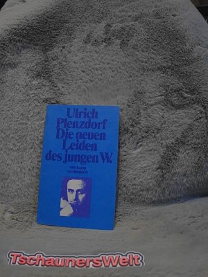 gebrauchtes Buch – Ulrich Plenzdorf – Die neuen Leiden des jungen W. Suhrkamp Taschenbuch ; 300