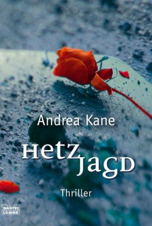 gebrauchtes Buch – Andrea Kane, Andrea – Hetzjagd Thriller