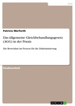 Das Allgemeine Gleichbehandlungsgesetz (AGG) in der Praxis / Die Beweislast im Prozess für die Diskriminierung / Patricio Merforth / Taschenbuch / Paperback / 44 S. / Deutsch / 2012 / GRIN Verlag