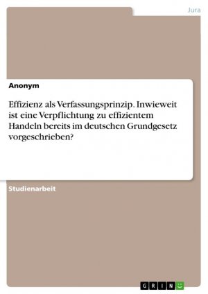 Effizienz als Verfassungsprinzip. Inwieweit ist eine Verpflichtung zu effizientem Handeln bereits im deutschen Grundgesetz vorgeschrieben? / Anonymous / Taschenbuch / Paperback / 24 S. / Deutsch