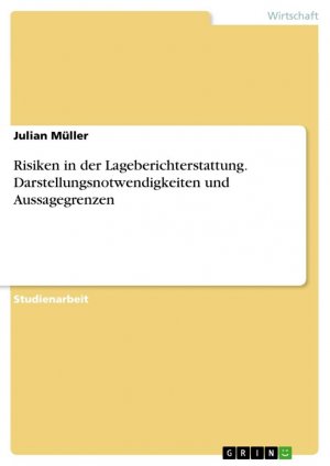 Risiken in der Lageberichterstattung. Darstellungsnotwendigkeiten und Aussagegrenzen / Julian Müller / Taschenbuch / Paperback / 28 S. / Deutsch / 2019 / GRIN Verlag / EAN 9783668873469