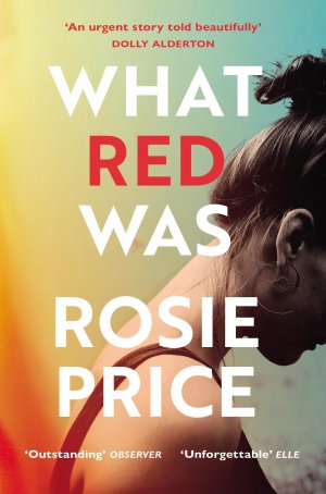 What Red Was / 'One of the most powerful debuts you'll ever read' (Stylist) / Rosie Price / Taschenbuch / 377 S. / Englisch / 2020 / Vintage Publishing / EAN 9781529110784