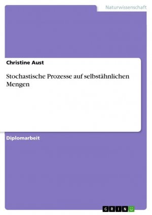 Stochastische Prozesse auf selbstähnlichen Mengen / Christine Aust / Taschenbuch / 96 S. / Deutsch / 2018 / GRIN Verlag / EAN 9783668674226