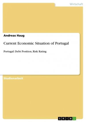 Current Economic Situation of Portugal / Portugal: Debt Position, Risk Rating / Andreas Haug / Taschenbuch / Paperback / 24 S. / Deutsch / 2012 / GRIN Verlag / EAN 9783656168461