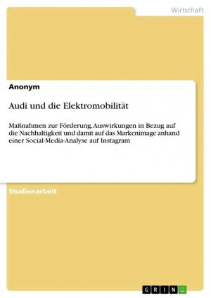 Audi und die Elektromobilität / Maßnahmen zur Förderung, Auswirkungen in Bezug auf die Nachhaltigkeit und damit auf das Markenimage anhand einer Social-Media-Analyse auf Instagram / Anonymous / Buch
