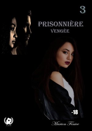 Prisonnière / Tome 3, Vengée / Marion Fenice / Taschenbuch / Paperback / Französisch / 2024 / Art en Mots / EAN 9782378235246