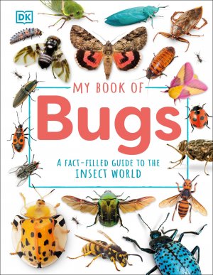 neues Buch – Dk – My Book of Bugs / A Fact-Filled Guide to the Insect World / Dk / Buch / Englisch / 2025 / Dorling Kindersley Ltd / EAN 9780241704813