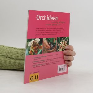 gebrauchtes Buch – Frank Rolke – Orchideen