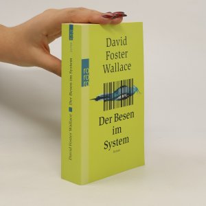 gebrauchtes Buch – David Foster Wallace – Der Besen im System