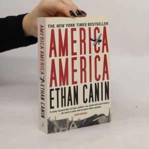 gebrauchtes Buch – Ethan Canin – America America