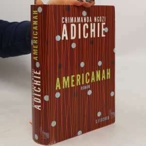 gebrauchtes Buch – Chimamanda Ngozi Adichie – Americanah