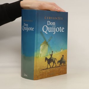 gebrauchtes Buch – Miguel de Cervantes Saavedra – Don Quijote