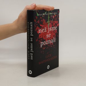 gebrauchtes Buch – Lucie Whitehouse – Než jsme se poznali