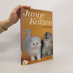 Junge Katzen in Farbe