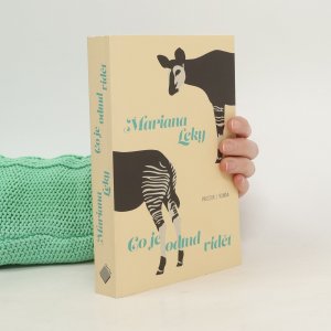 gebrauchtes Buch – Mariana Leky – Co je odtud vidět