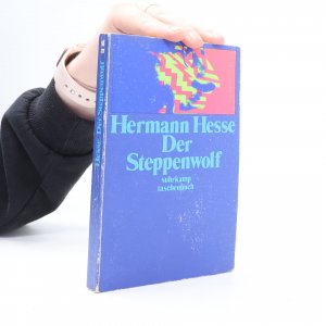 gebrauchtes Buch – Hermann Hesse – Der Steppenwolf: Roman