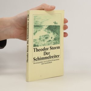 gebrauchtes Buch – Theodor Storm – Der Schimmelreiter