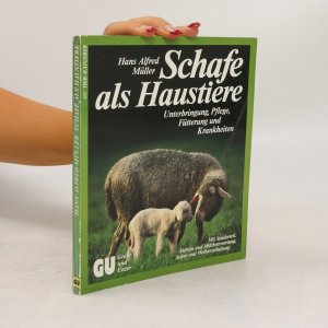 Schafe als Haustiere