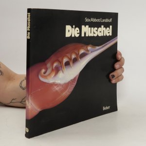 Die Muschel