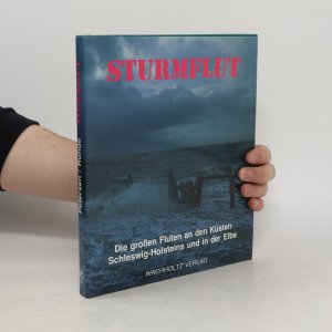 gebrauchtes Buch – Marcus Petersen – Sturmflut