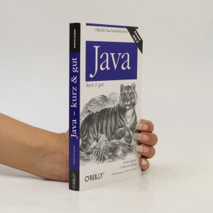 gebrauchtes Buch – Robert Liguori – Java