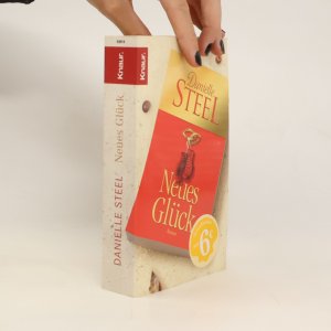 gebrauchtes Buch – Danielle Steel – Neues Glück