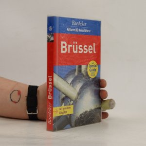 gebrauchtes Buch – Rainer Eisenschmid – Brüssel