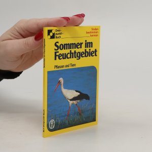 gebrauchtes Buch – Kolektiv – Sommer im Feuchtgebiet