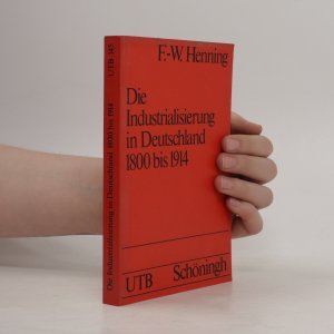 gebrauchtes Buch – Friedrich-Wilhelm Tiller – Die Industrialisierung in Deutschland 1800 bis 1914