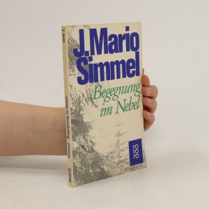 gebrauchtes Buch – Johannes Mario Simmel – Begegnung im Nebel : Erzählungen