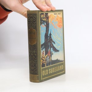 antiquarisches Buch – Karl May – Old Surehand II