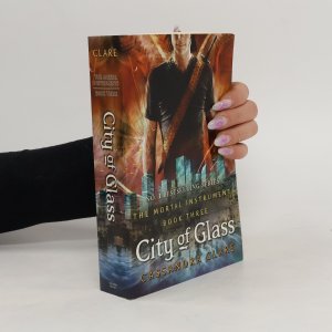 gebrauchtes Buch – Cassandra Clare – City of Glass